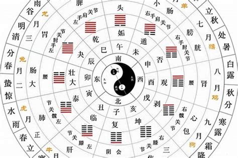 地支的五行|十二地支类象详解 – 十二地支阴阳五行属性